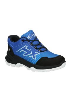 Jalanõud / Haix Future Hero GTX Low Blue-White